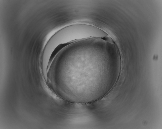 X0000090630960200707311302