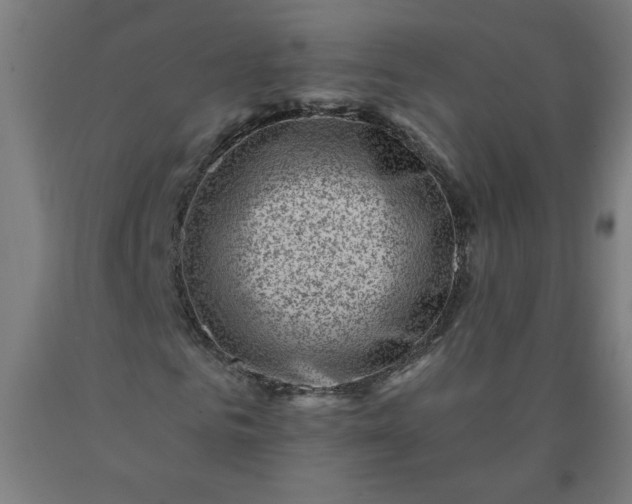 X0000090630961200707311302