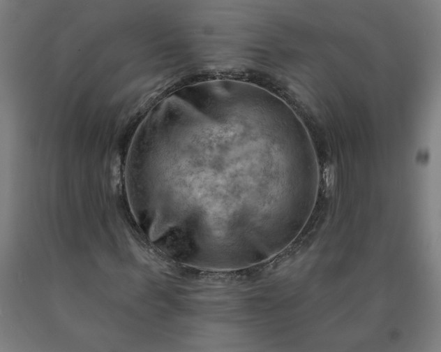 X0000090630963200707311302
