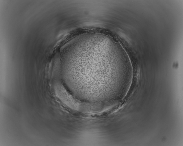 X0000090630965200707311302
