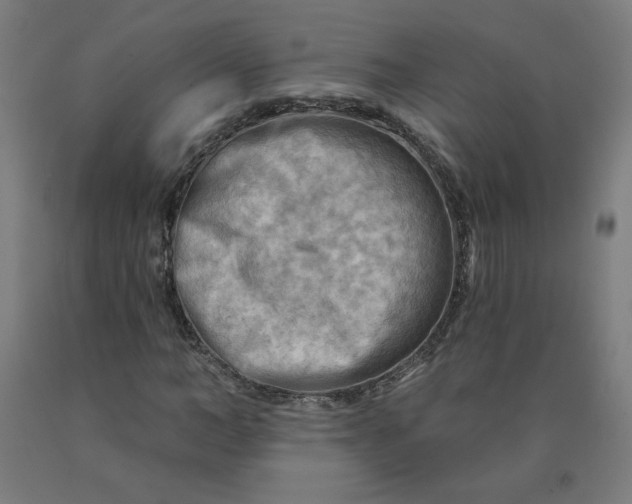 X0000090630966200707311302