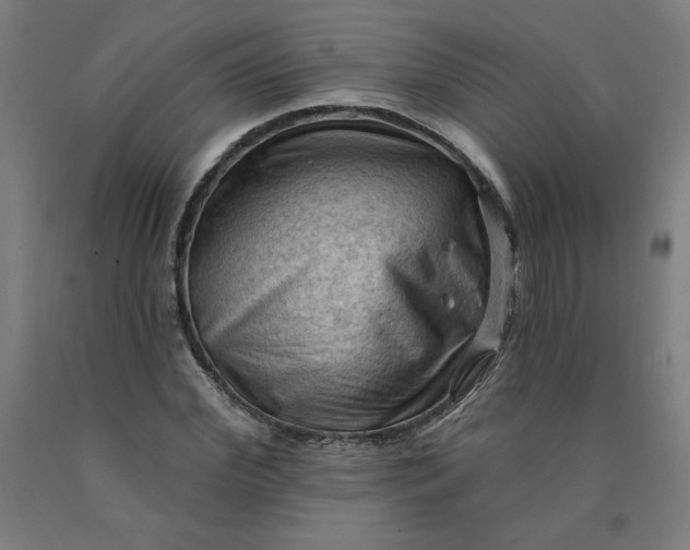 X0000090630972200707311302