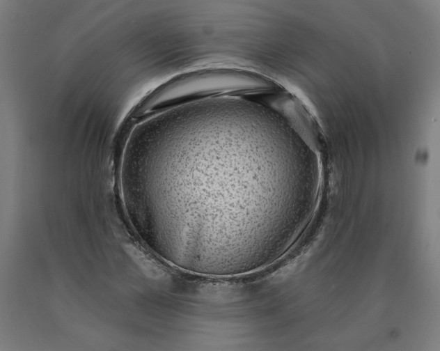 X0000090630973200707311302