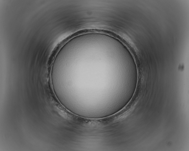 X0000090630974200707311302