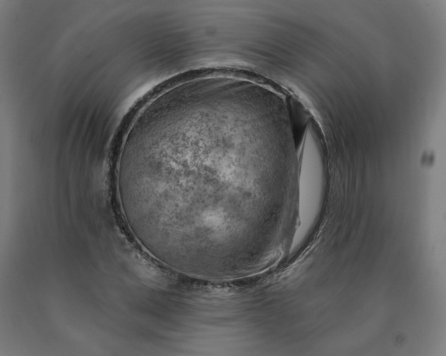 X0000090630975200707311302