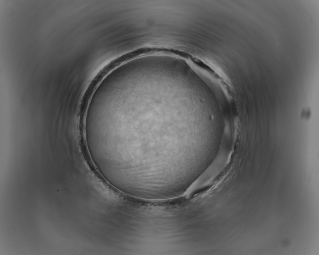 X0000090630976200707311302