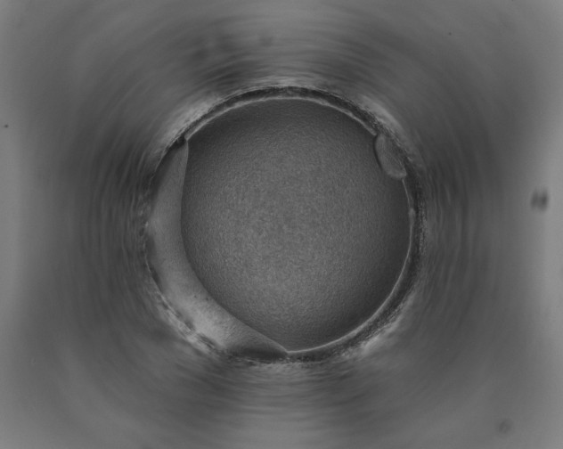 X0000090630977200707311302