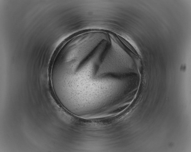 X0000090630980200707311302