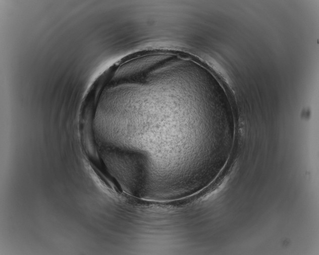 X0000090630981200707311302