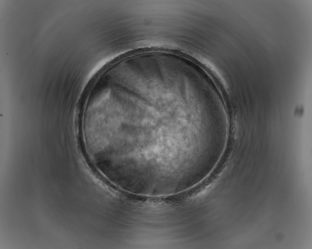 X0000090630983200707311302