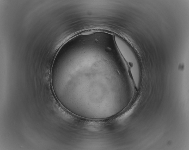 X0000090630985200707311302