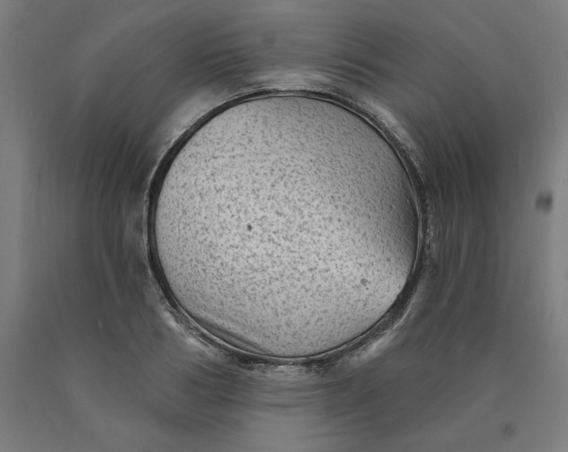 X0000090630986200707311302