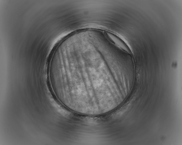 X0000090630987200707311301