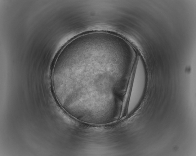 X0000090630990200707311301