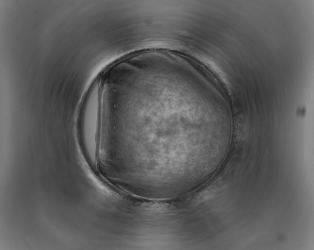 X0000090630991200707311301
