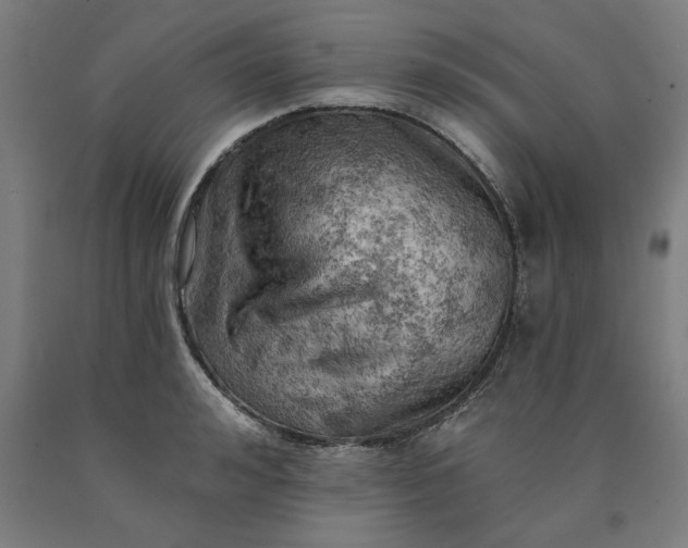 X0000090630992200707311301