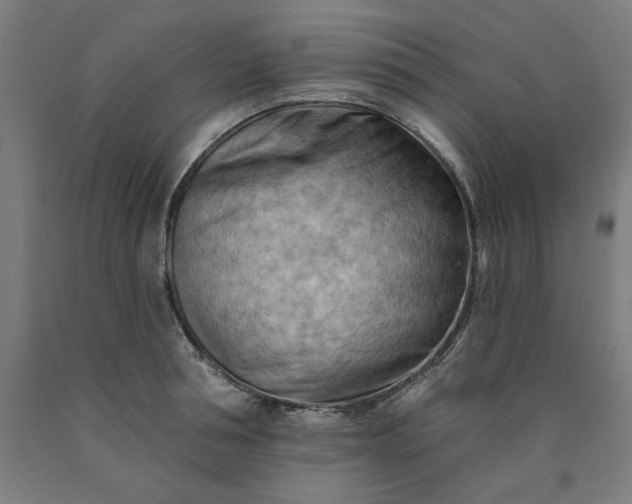 X0000090630994200707311301