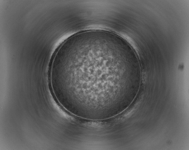 X0000090630995200707311301