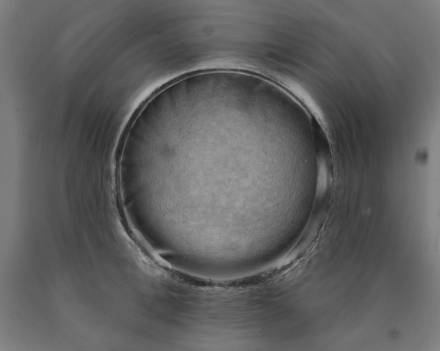 X0000090630996200707311301