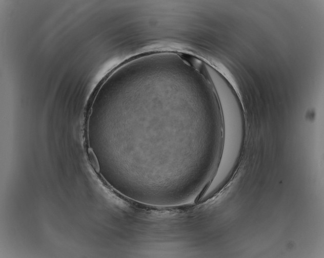 X0000090630997200707311301