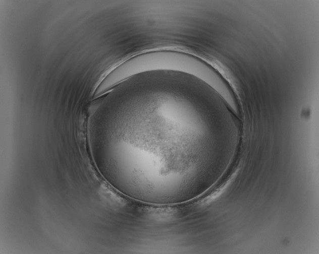 X0000090631001200707311301