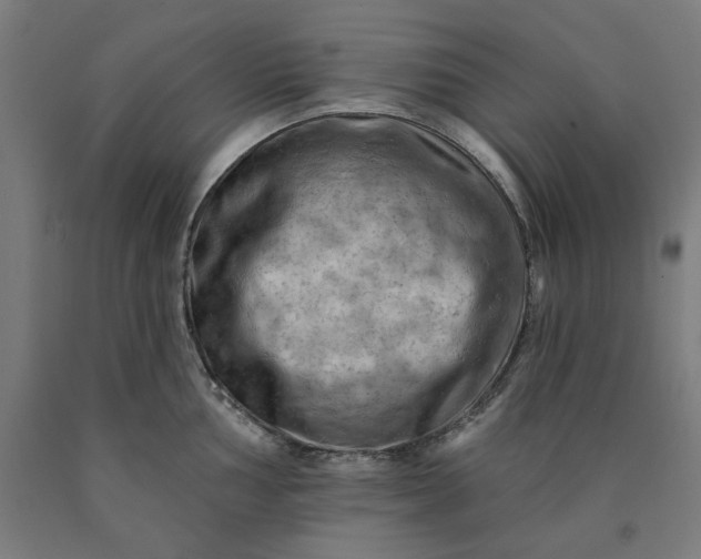 X0000090631002200707311301
