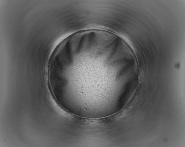 X0000090631003200707311301