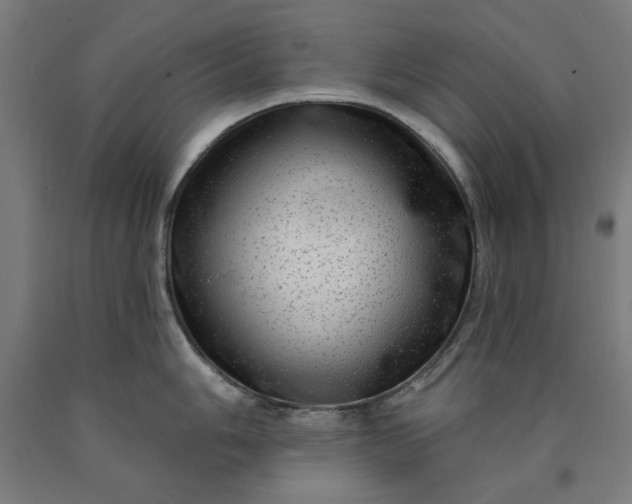 X0000090631006200707311301