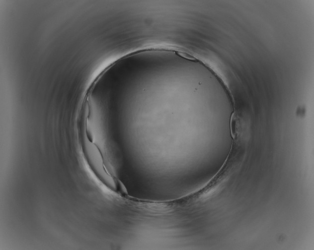 X0000090631007200707311301