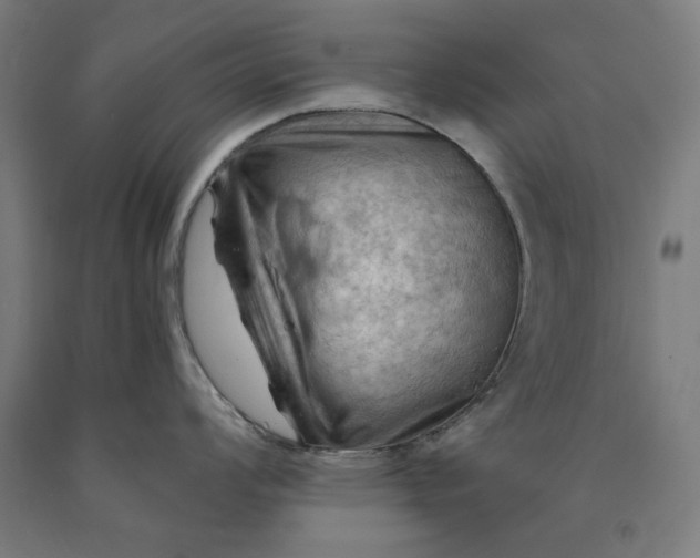 X0000090631008200707311301