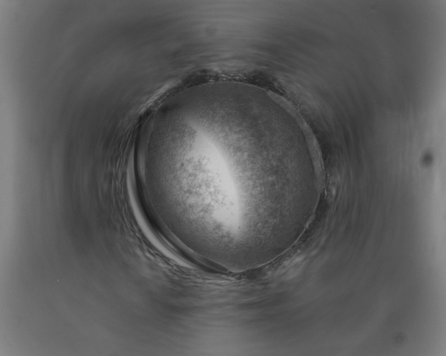 X0000090631010200707311300
