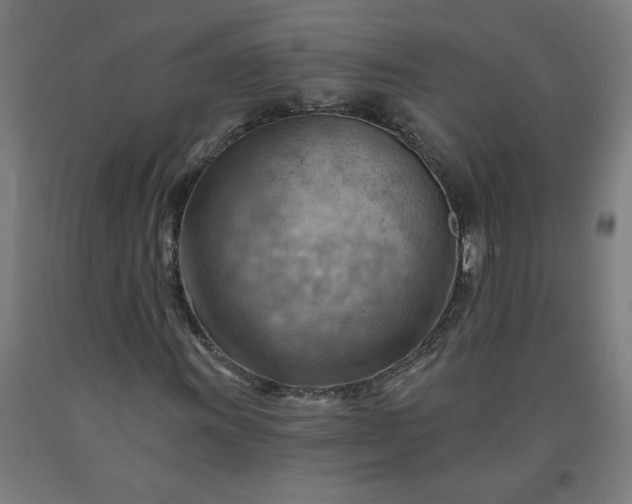 X0000090631011200707311300