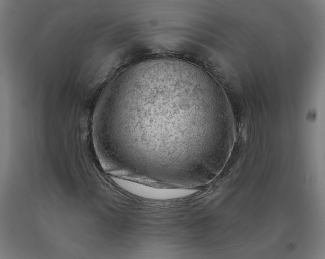 X0000090631012200707311300
