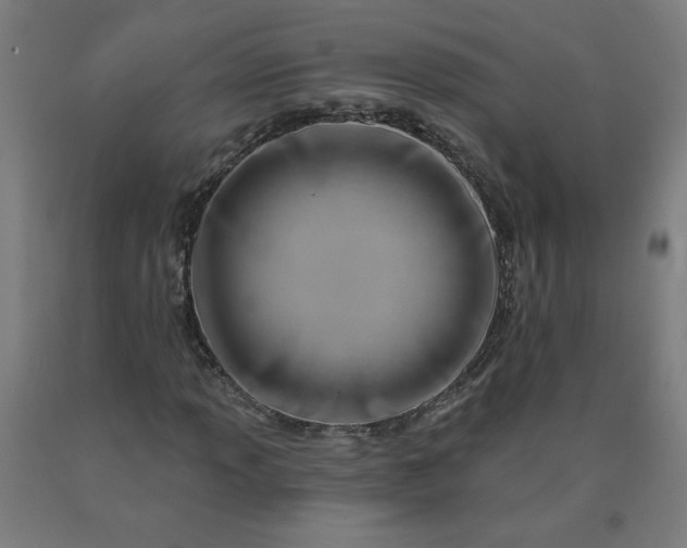 X0000090631013200707311300