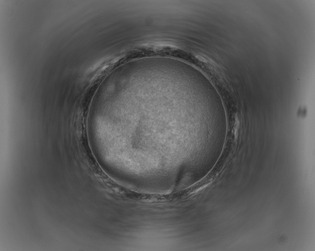X0000090631014200707311301