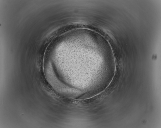 X0000090631015200707311301
