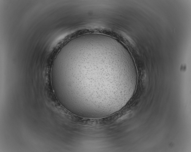 X0000090631016200707311301