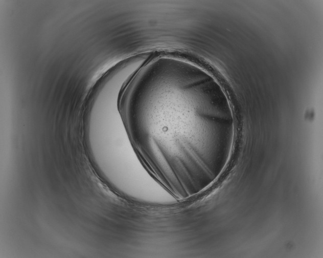 X0000090631018200707311301