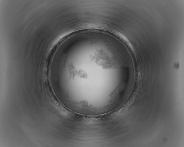 X0000090631019200707311301