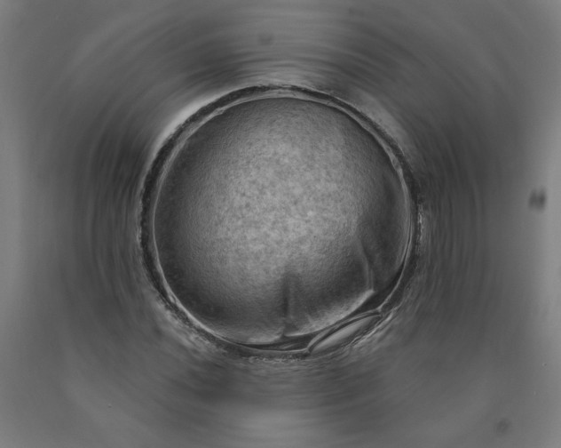 X0000090631020200707311301