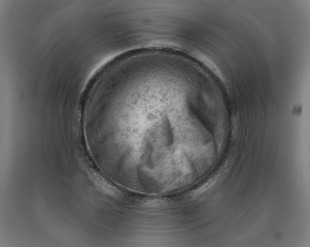 X0000090631021200707311301
