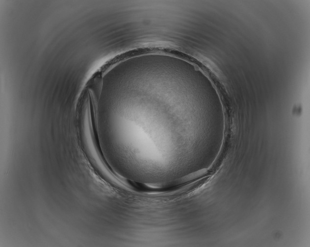 X0000090631022200707311301
