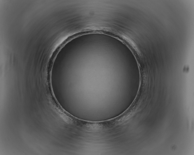 X0000090631023200707311301