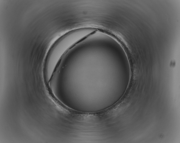 X0000090631024200707311301