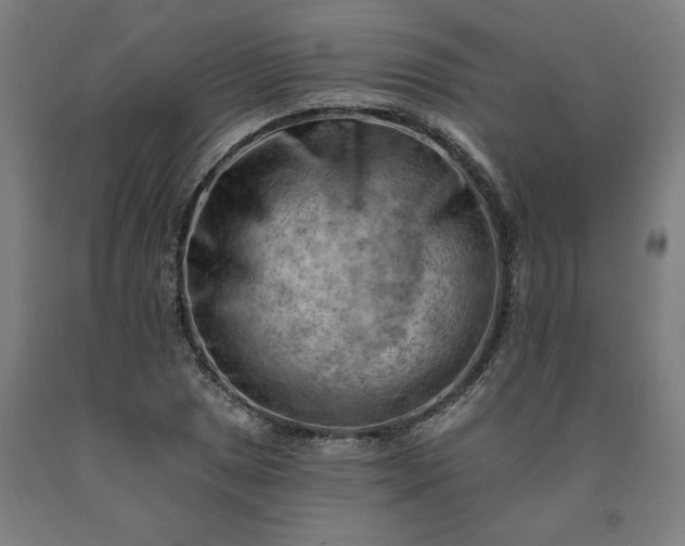 X0000090631025200707311301