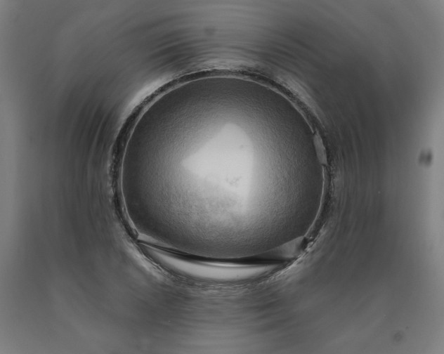 X0000090631026200707311301