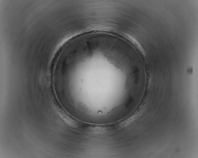 X0000090631027200707311301