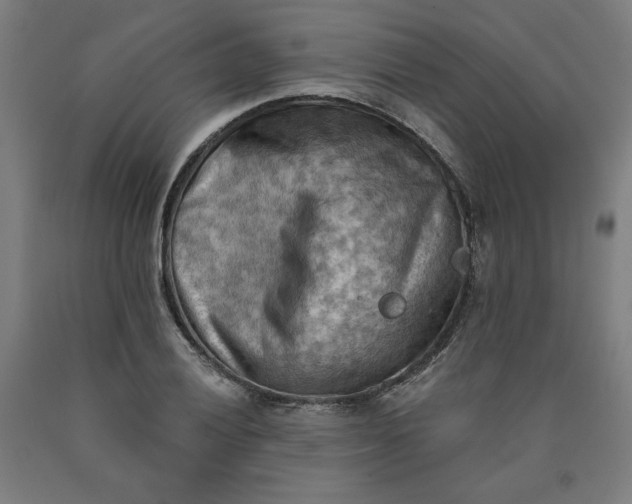X0000090631028200707311301