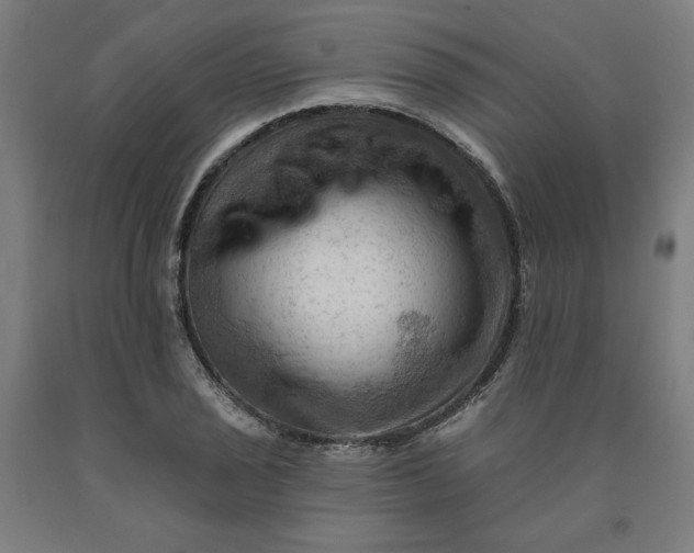 X0000090631029200707311301