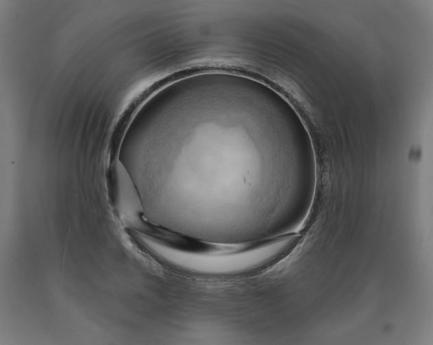 X0000090631030200707311301